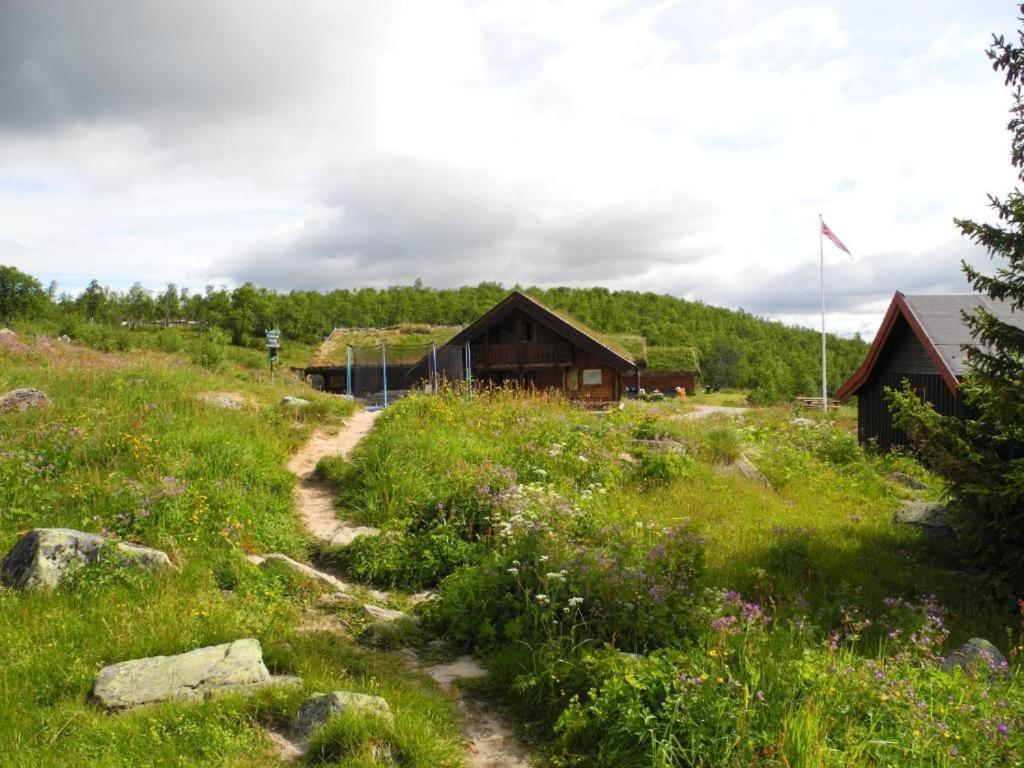 Hakkesetstolen Fjellstugu Otel Geilo Dış mekan fotoğraf